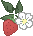 Strawberry and Flower